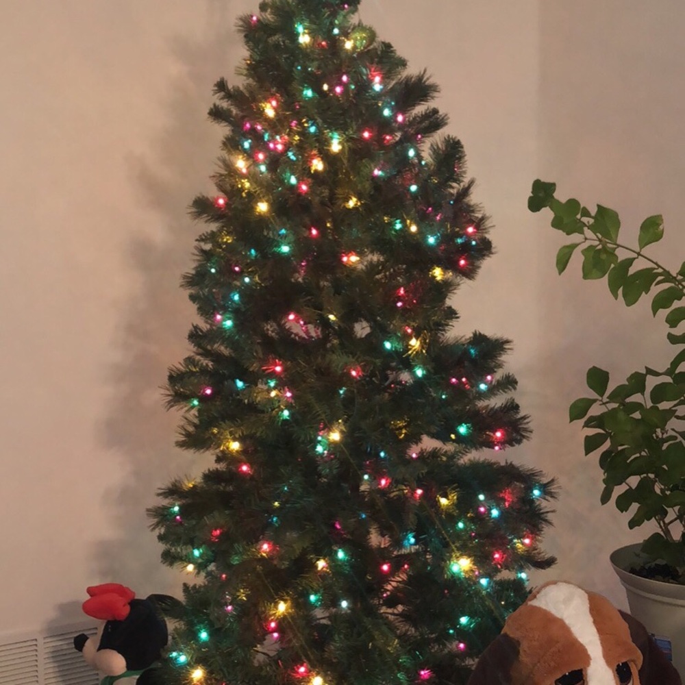 Meet your Posher, Samaher